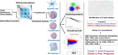 Prognostic <mark class="highlighted">Gene Expression Signature</mark> in Patients With Distinct Glioma Grades